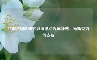 特朗普团队研究取消电动汽车补贴，马斯克为何支持