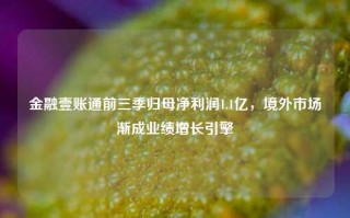 金融壹账通前三季归母净利润1.1亿，境外市场渐成业绩增长引擎