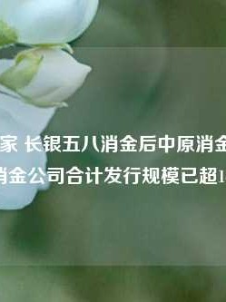 一周内两家 长银五八消金后中原消金ABS发行 年内消金公司合计发行规模已超144亿元