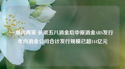 一周内两家 长银五八消金后中原消金ABS发行 年内消金公司合计发行规模已超144亿元