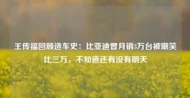 王传福回顾造车史：比亚迪曾月销3万台被嘲笑比三万，不知道还有没有明天