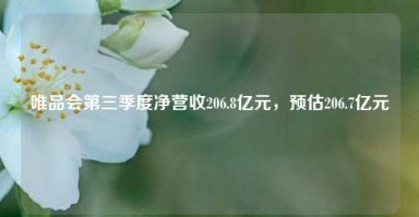 唯品会第三季度净营收206.8亿元，预估206.7亿元