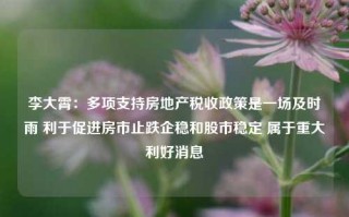 李大霄：多项支持房地产税收政策是一场及时雨 利于促进房市止跌企稳和股市稳定 属于重大利好消息