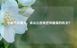 小米汽车爆火，金山云迎来逆风翻盘的机会？