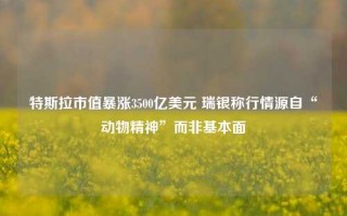 特斯拉市值暴涨3500亿美元 瑞银称行情源自“动物精神”而非基本面