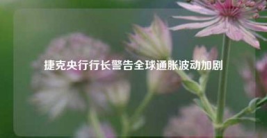 捷克央行行长警告全球通胀波动加剧