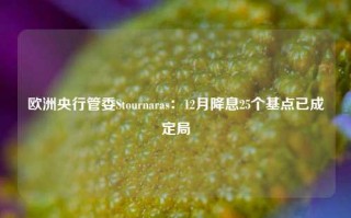 欧洲央行管委Stournaras：12月降息25个基点已成定局