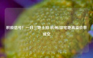 积极信号！一日三地土拍 杭州2宗宅地高溢价率成交