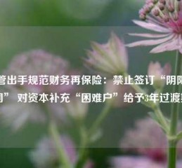 监管出手规范财务再保险：禁止签订“阴阳合同” 对资本补充“困难户”给予3年过渡期