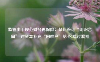 监管出手规范财务再保险：禁止签订“阴阳合同” 对资本补充“困难户”给予3年过渡期