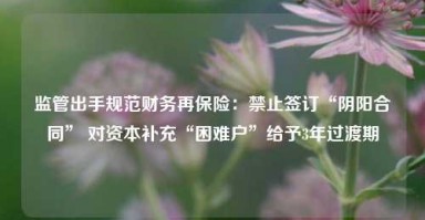 监管出手规范财务再保险：禁止签订“阴阳合同” 对资本补充“困难户”给予3年过渡期