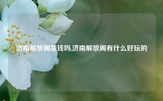 济南解放阁花钱吗,济南解放阁有什么好玩的