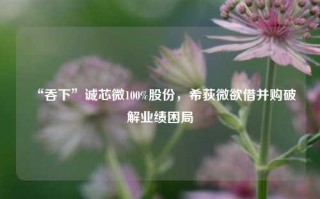 “吞下”诚芯微100%股份，希荻微欲借并购破解业绩困局