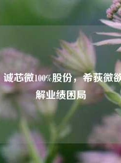 “吞下”诚芯微100%股份，希荻微欲借并购破解业绩困局