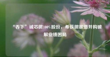 “吞下”诚芯微100%股份，希荻微欲借并购破解业绩困局