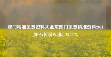 澳门精准免费资料大全龙澳门免费精准资料2021,炉石传说Pro版_25.36.73