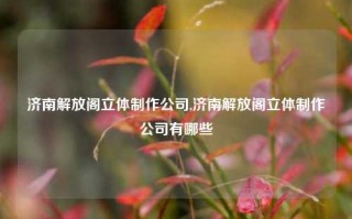 济南解放阁立体制作公司,济南解放阁立体制作公司有哪些