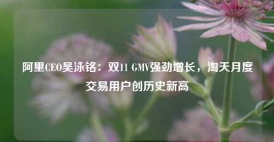 阿里CEO吴泳铭：双11 GMV强劲增长，淘天月度交易用户创历史新高