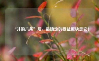 “并购六条”后，最确定的受益板块是它！