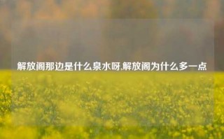 解放阁那边是什么泉水呀,解放阁为什么多一点