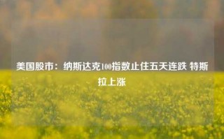 美国股市：纳斯达克100指数止住五天连跌 特斯拉上涨