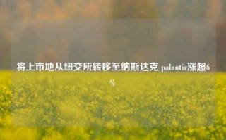 将上市地从纽交所转移至纳斯达克 palantir涨超6%