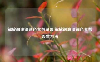 解放阁滤镜调色参数设置,解放阁滤镜调色参数设置方法