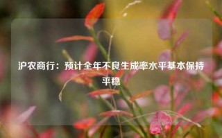 沪农商行：预计全年不良生成率水平基本保持平稳