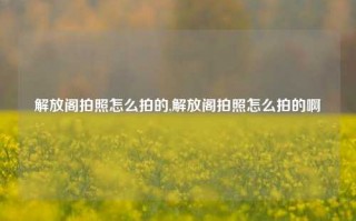 解放阁拍照怎么拍的,解放阁拍照怎么拍的啊