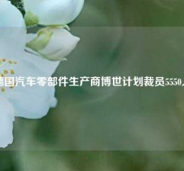 德国汽车零部件生产商博世计划裁员5550人