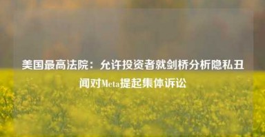 美国最高法院：允许投资者就剑桥分析隐私丑闻对Meta提起集体诉讼