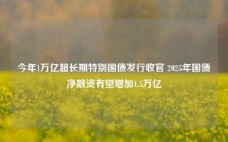 今年1万亿超长期特别国债发行收官 2025年国债净融资有望增加1.5万亿