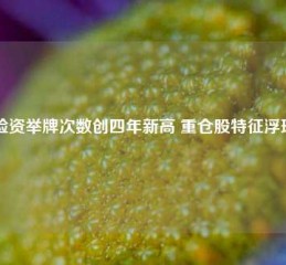 险资举牌次数创四年新高 重仓股特征浮现