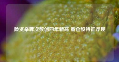 险资举牌次数创四年新高 重仓股特征浮现