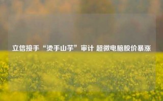 立信接手“烫手山芋”审计 超微电脑股价暴涨