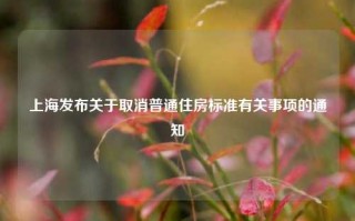 上海发布关于取消普通住房标准有关事项的通知