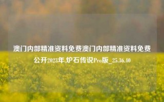 澳门内部精准资料免费澳门内部精准资料免费公开2023年,炉石传说Pro版_25.36.40