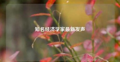 知名经济学家最新发声