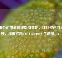 上市公司市值管理指引落地，红利资产仍被看好，标普红利ETF（562060）午盘涨1.48%