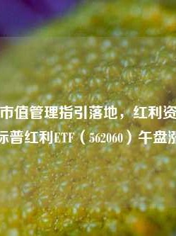 上市公司市值管理指引落地，红利资产仍被看好，标普红利ETF（562060）午盘涨1.48%