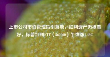 上市公司市值管理指引落地，红利资产仍被看好，标普红利ETF（562060）午盘涨1.48%