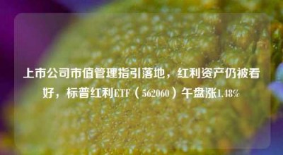 上市公司市值管理指引落地，红利资产仍被看好，标普红利ETF（562060）午盘涨1.48%