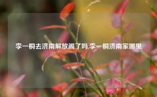 李一桐去济南解放阁了吗,李一桐济南家哪里