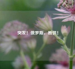 突发！俄罗斯，断供！