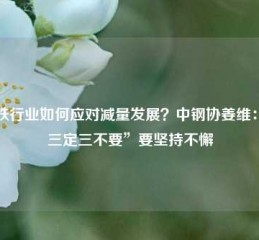 钢铁行业如何应对减量发展？中钢协姜维：“三定三不要”要坚持不懈