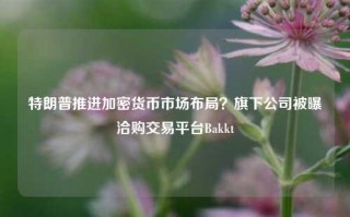 特朗普推进加密货币市场布局？旗下公司被曝洽购交易平台Bakkt