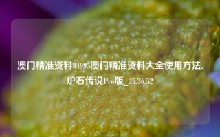 澳门精准资料84995澳门精准资料大全使用方法,炉石传说Pro版_25.36.52