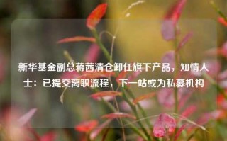 新华基金副总蒋茜清仓卸任旗下产品，知情人士：已提交离职流程，下一站或为私募机构