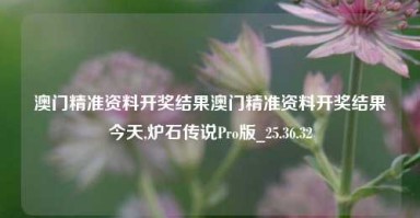 澳门精准资料开奖结果澳门精准资料开奖结果今天,炉石传说Pro版_25.36.32