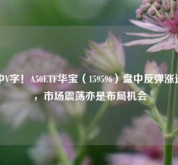 盘中V字！A50ETF华宝（159596）盘中反弹涨近1%，市场震荡亦是布局机会